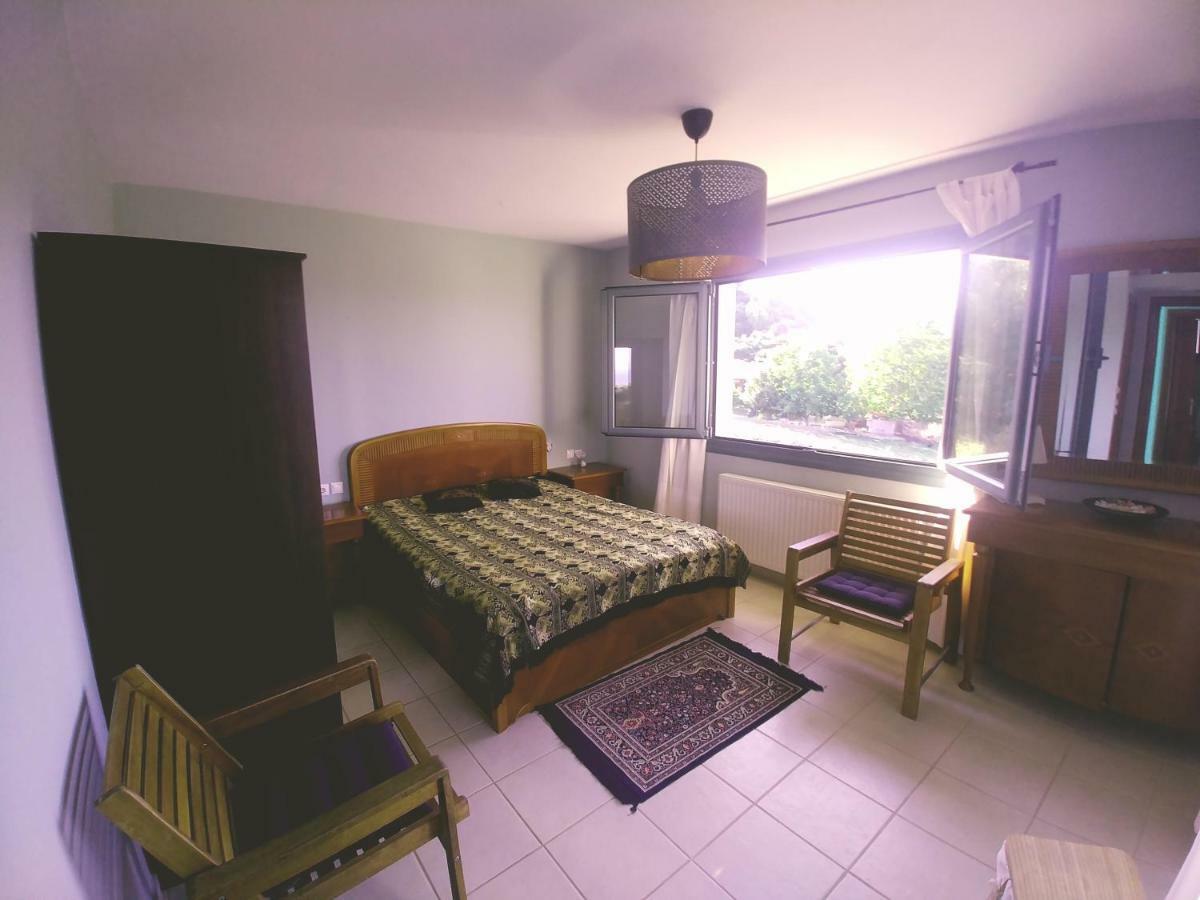 Villa Freebird Vip Bachelor Party & Wedding Events Pefkochori Zewnętrze zdjęcie